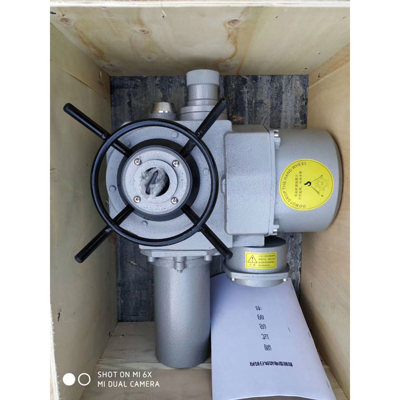 電動(dòng)頭螺旋桿啟閉機(jī)